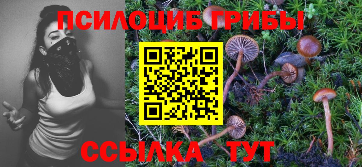 даркнет сайт  Псилоцибиновые грибы GOLDEN TEACHER  Вход с VPN  Крымск 